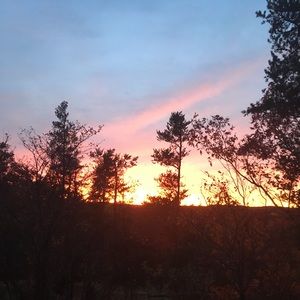 Meet your Posher, Raymond